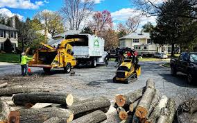 Best Utility Line Clearance  in Beale Af, CA